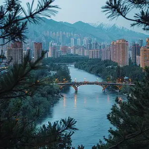 聪明的含义有哪些