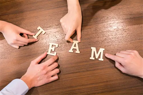 叫洋葱有什么含义